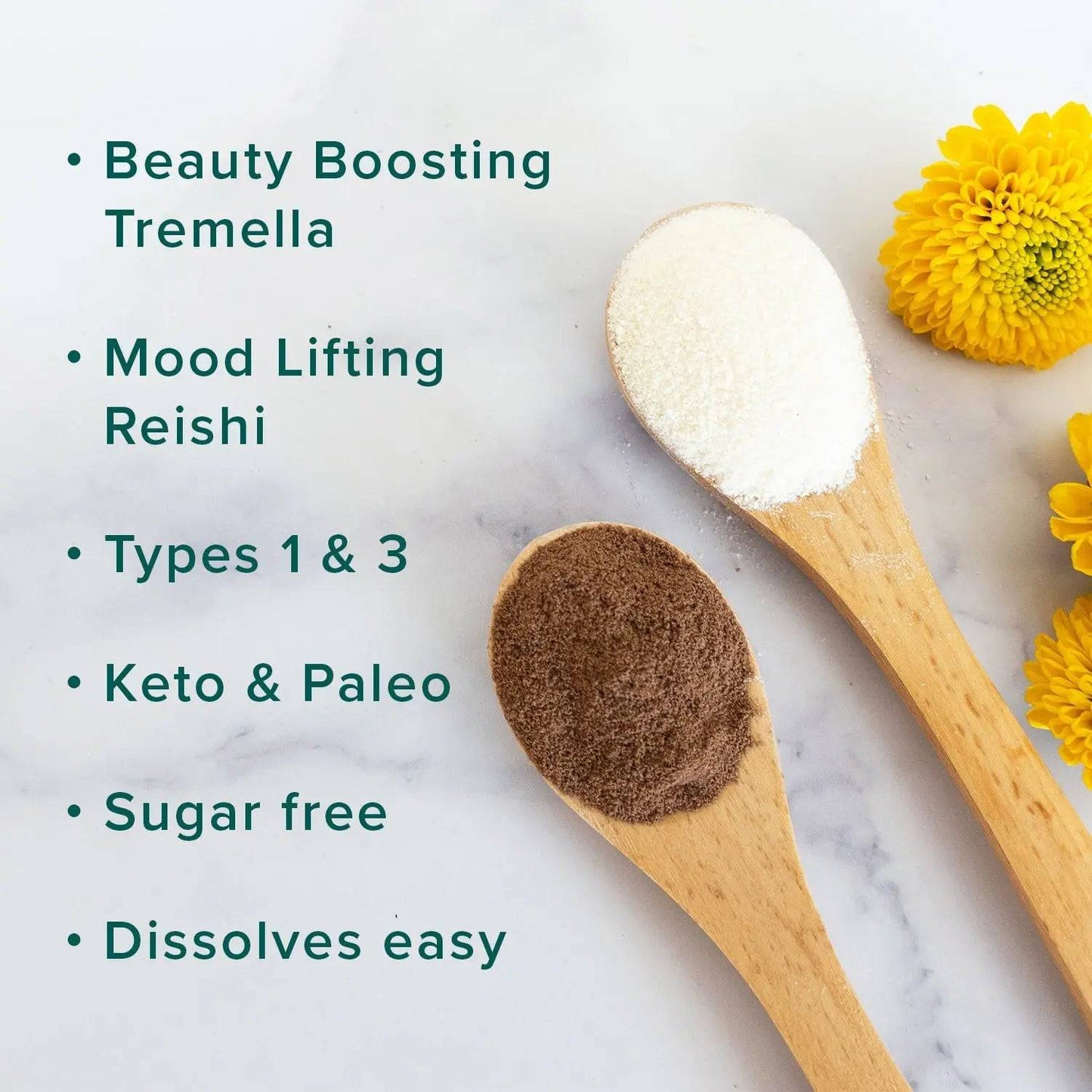 FOMELIX® Chocolate and Vanilla Dream Team Bundle